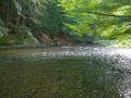 foto4